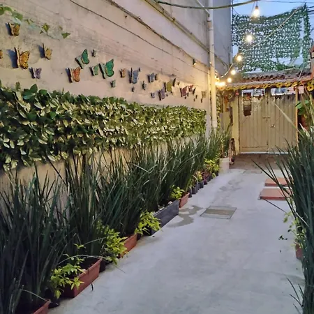 Hotel Alo Mexico