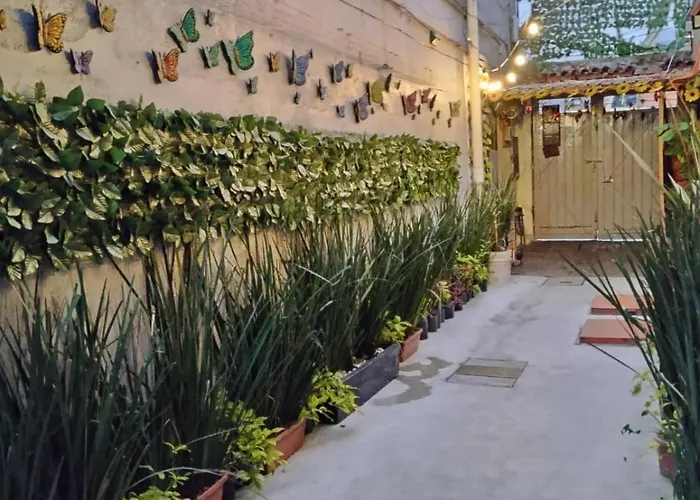 Alo Guest house Mexico City