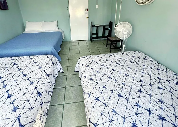 Alo Guest house Mexico City