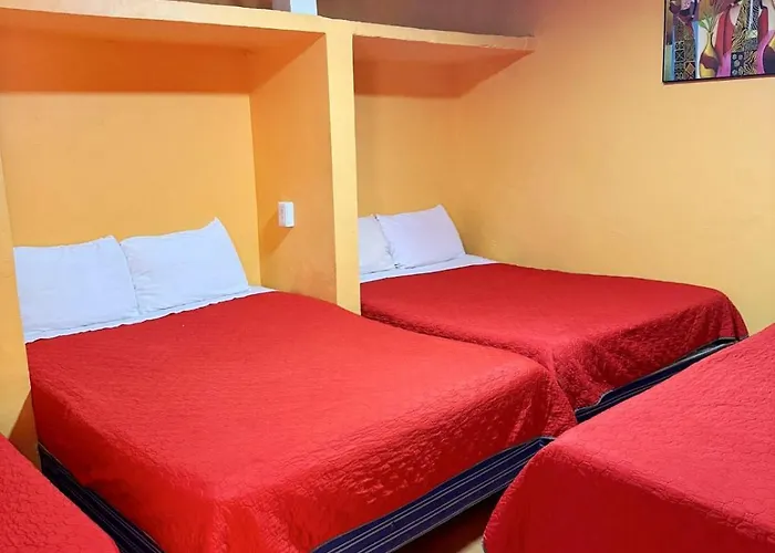 Alo Guest house *