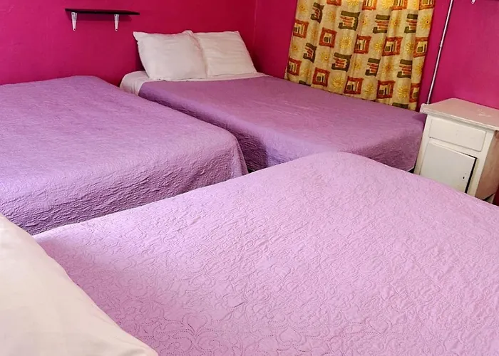 Alo Guest house Mexico City